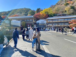 adel anfal profile icon