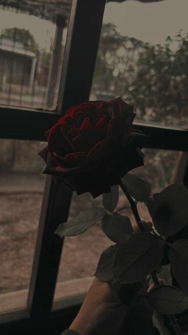 Mommywa profile icon