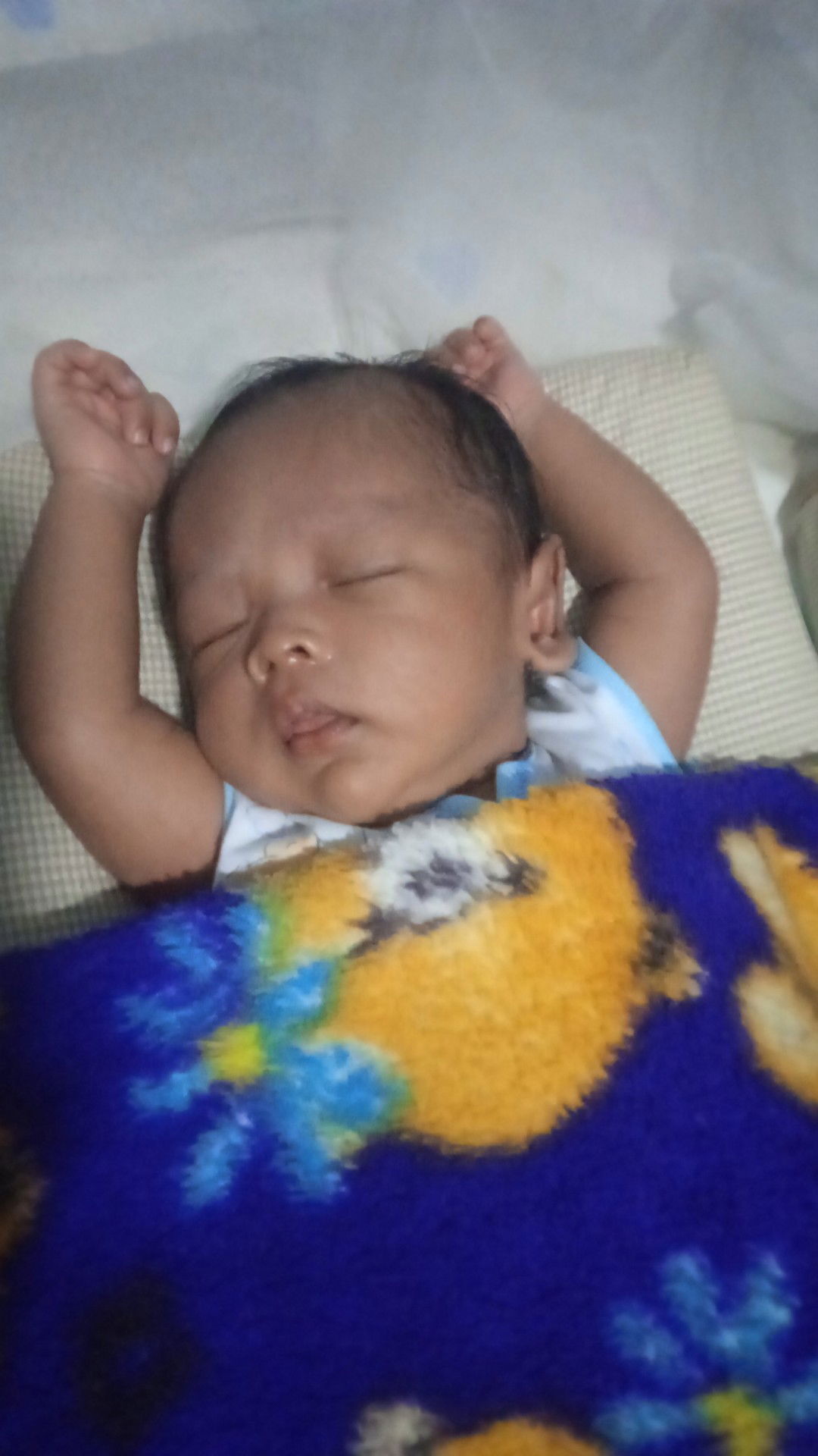 Listiani Ap profile icon