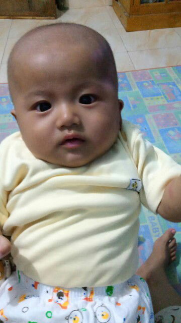 Hpl Bulan Februari 2020