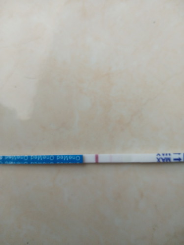 kehamilan