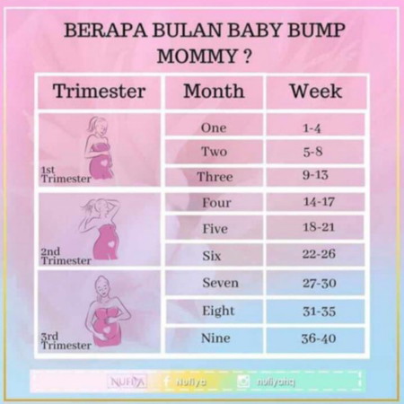 BERAPA BULAN BABY BUMP MOMMY?