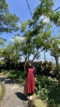 stevani profile icon