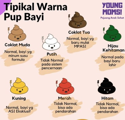 Tipikal Warna Fases Bayi