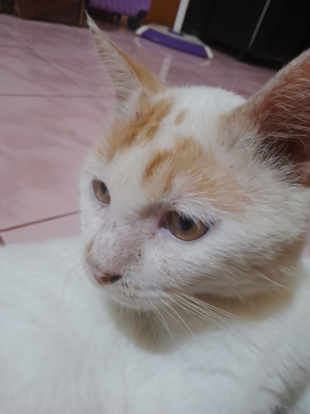 Putri Sari profile icon