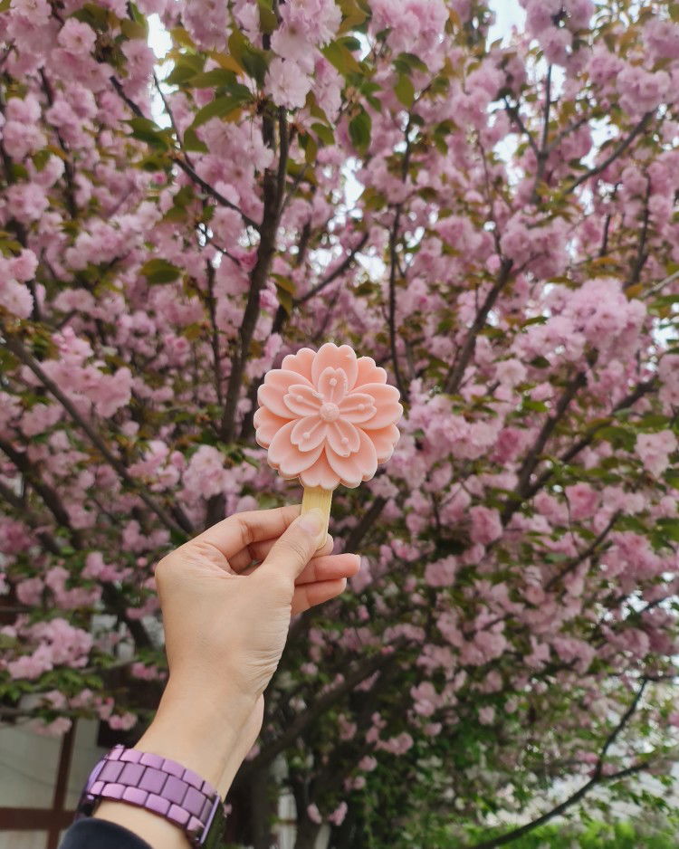 Mayresa Pratiwi profile icon