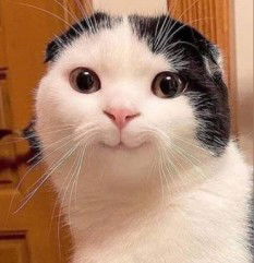 Chatchaya B. profile icon