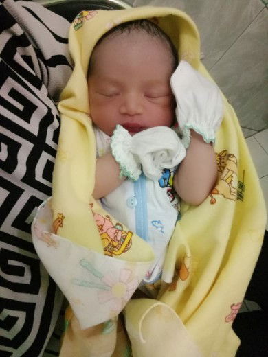 Hikmah induksi Gastrul