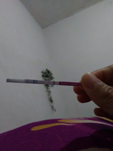 adakah kehamilan palsu ?
