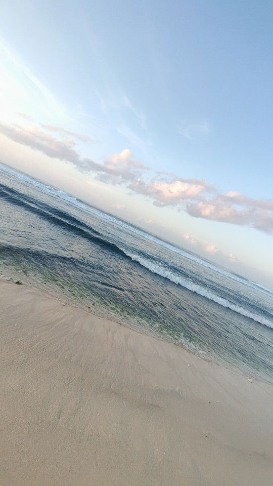 Windara profile icon