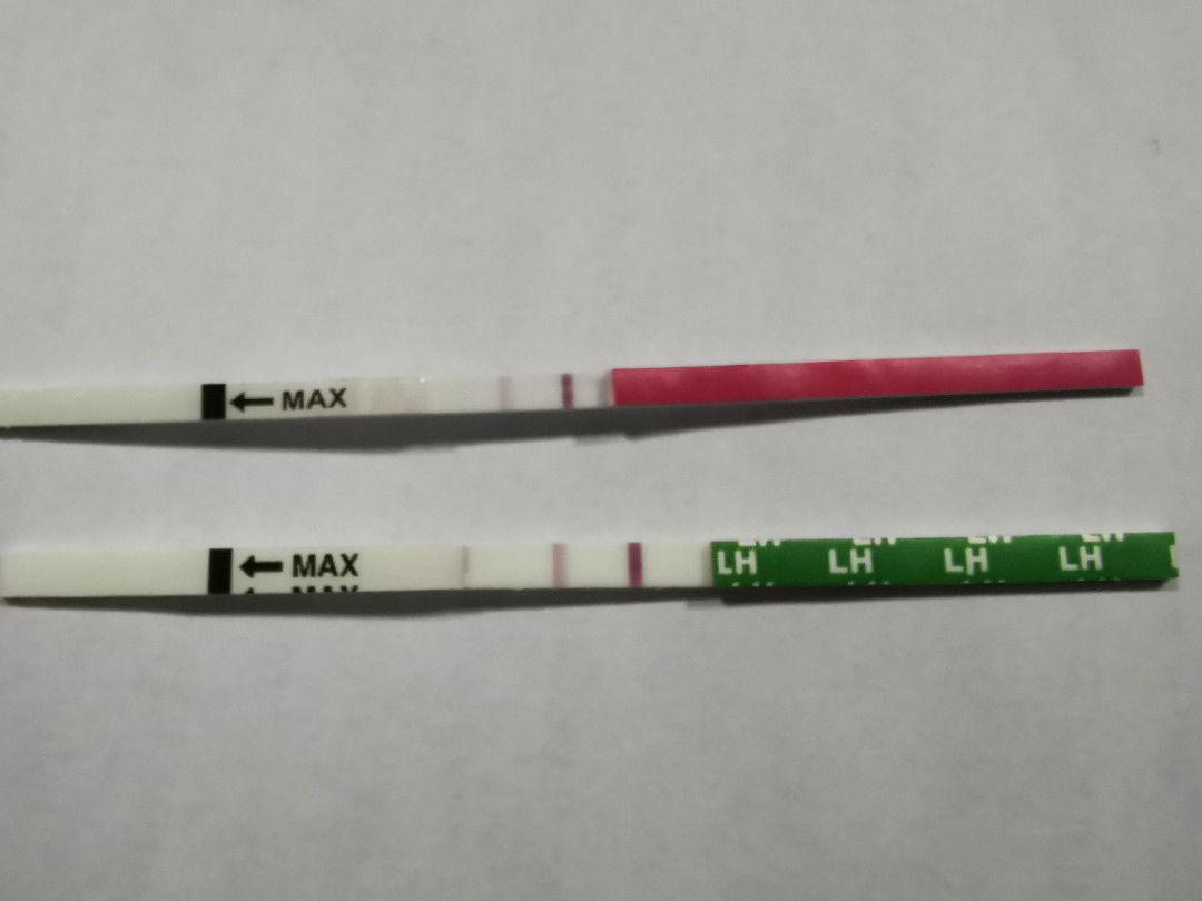 ไข่ตกมั้ยคะ