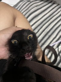 cookie crumbles profile icon