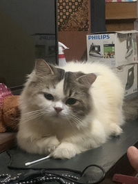 friescare profile icon