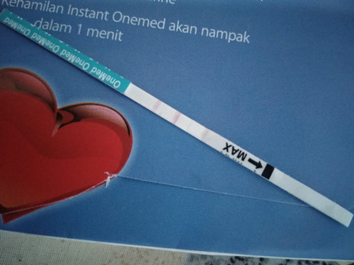 kehamilan