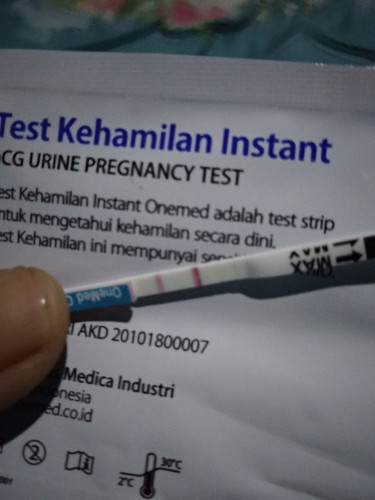 kehamilan