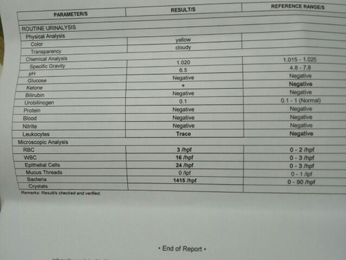 urine result