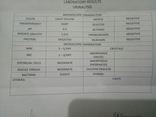 urinalysis
