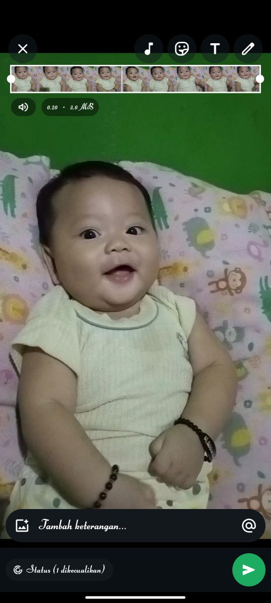 Halwa Halwa12 profile icon