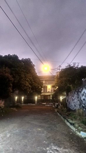 Sunyaruri Savannah profile icon