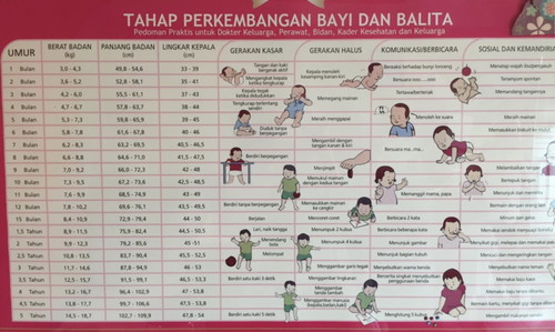 Tahap Perkembangan Bayi dan Balita