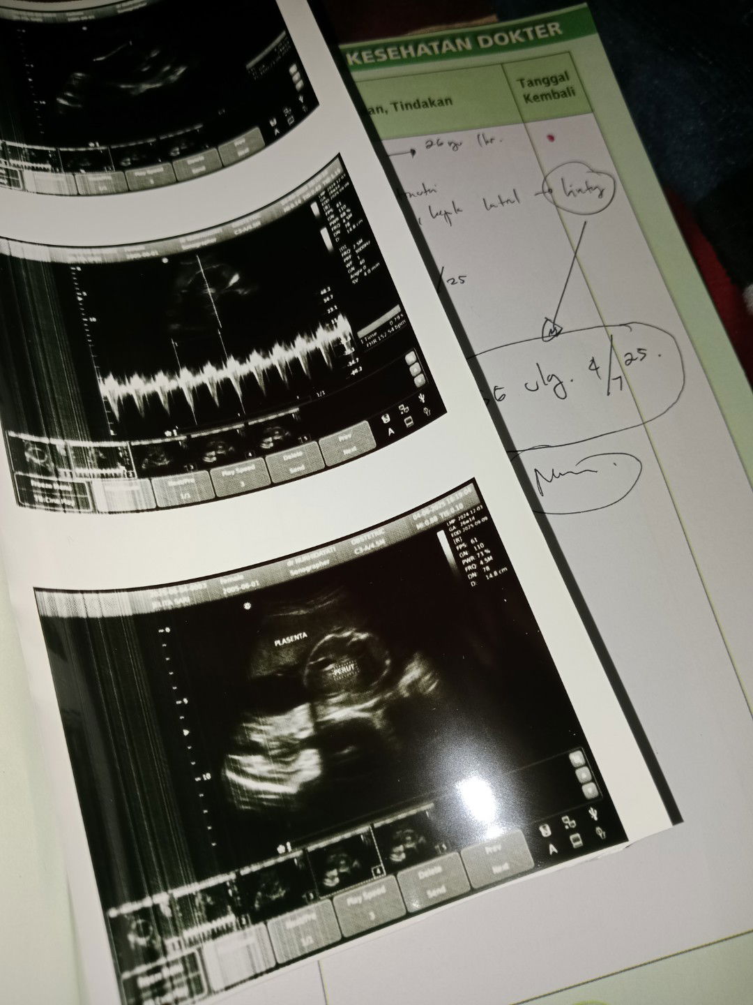 Jelita Sari profile icon