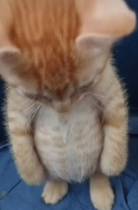 julysiriwimol profile icon