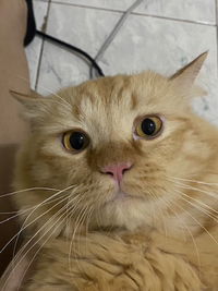 Siriporn794 profile icon