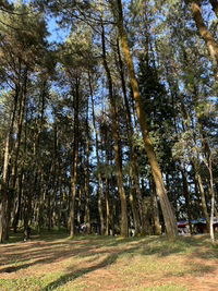 Aningrum profile icon