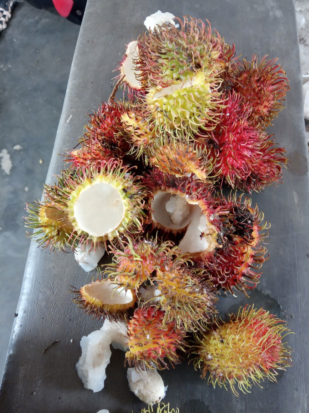 makan rambutan