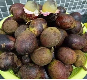 Makanan
