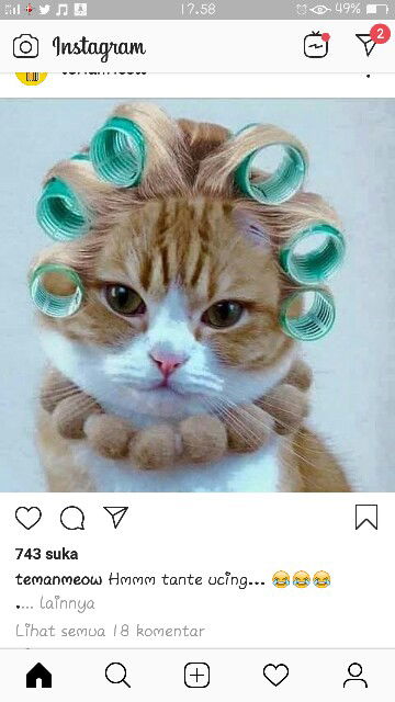 SAYA ANONIM profile icon