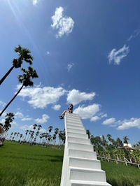 Natthanicha Awc profile icon