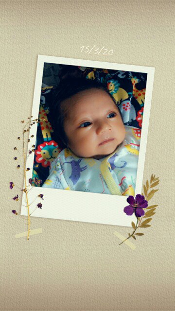 sufi profile icon
