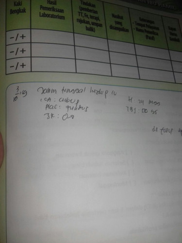 hasil usg