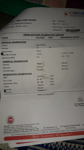 infection in urine