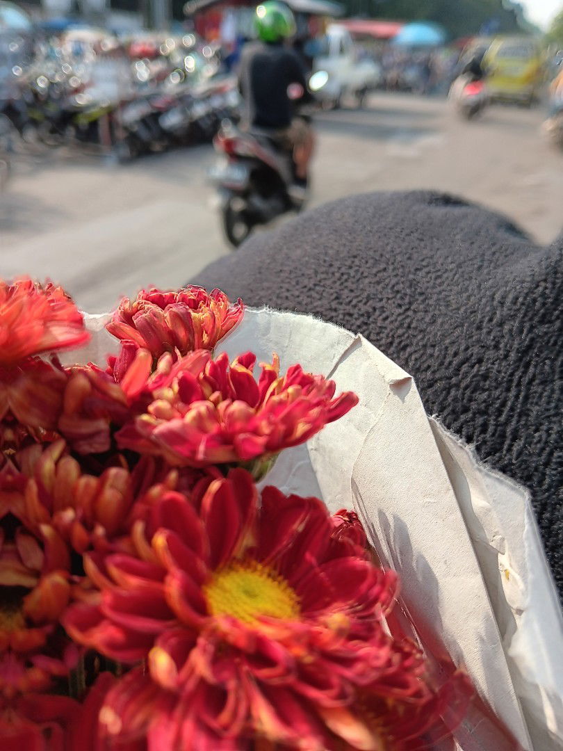 Dicha Choirunnisa profile icon