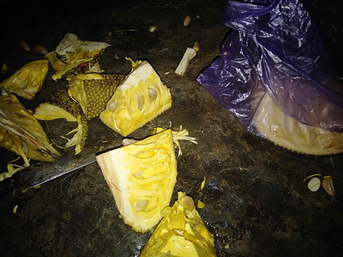 makan nangka