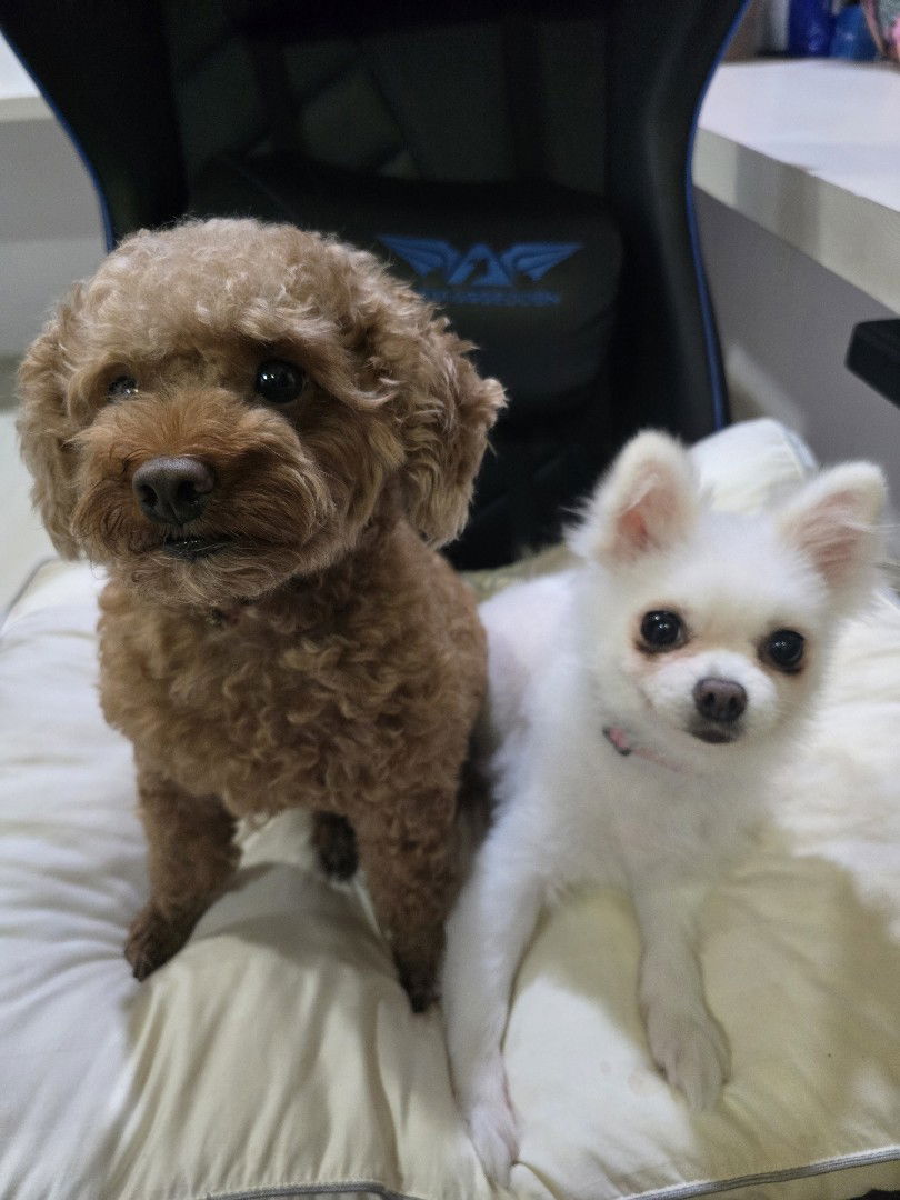 Nz Margareth profile icon