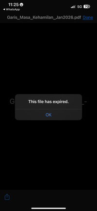 Nur Liyana profile icon