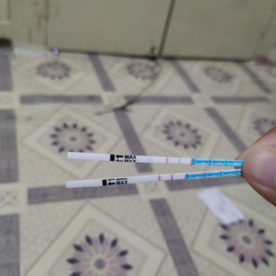 mimpi mertua dan ipar jadi nyata ?