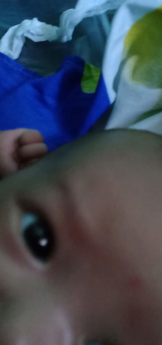 memanjangkan bulu mata