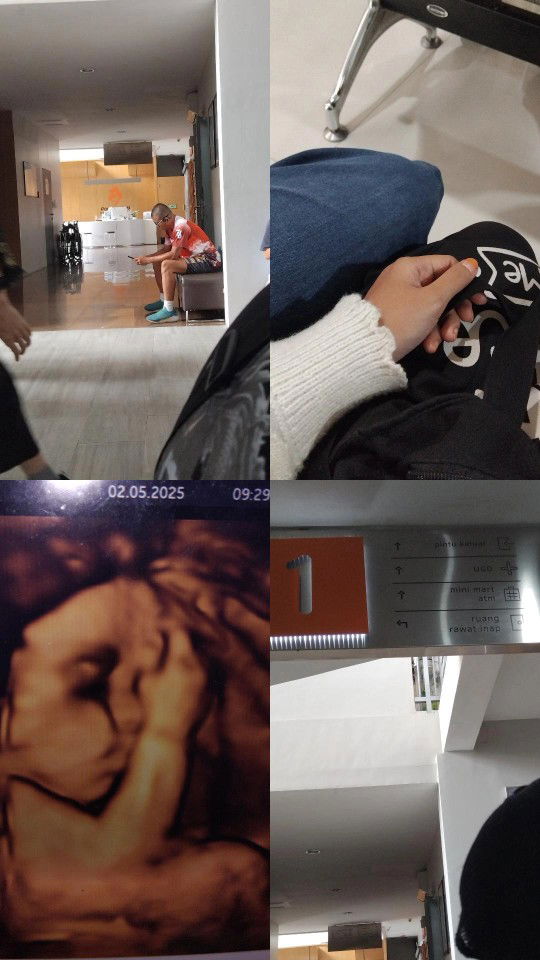 Shofia Syrfh profile icon