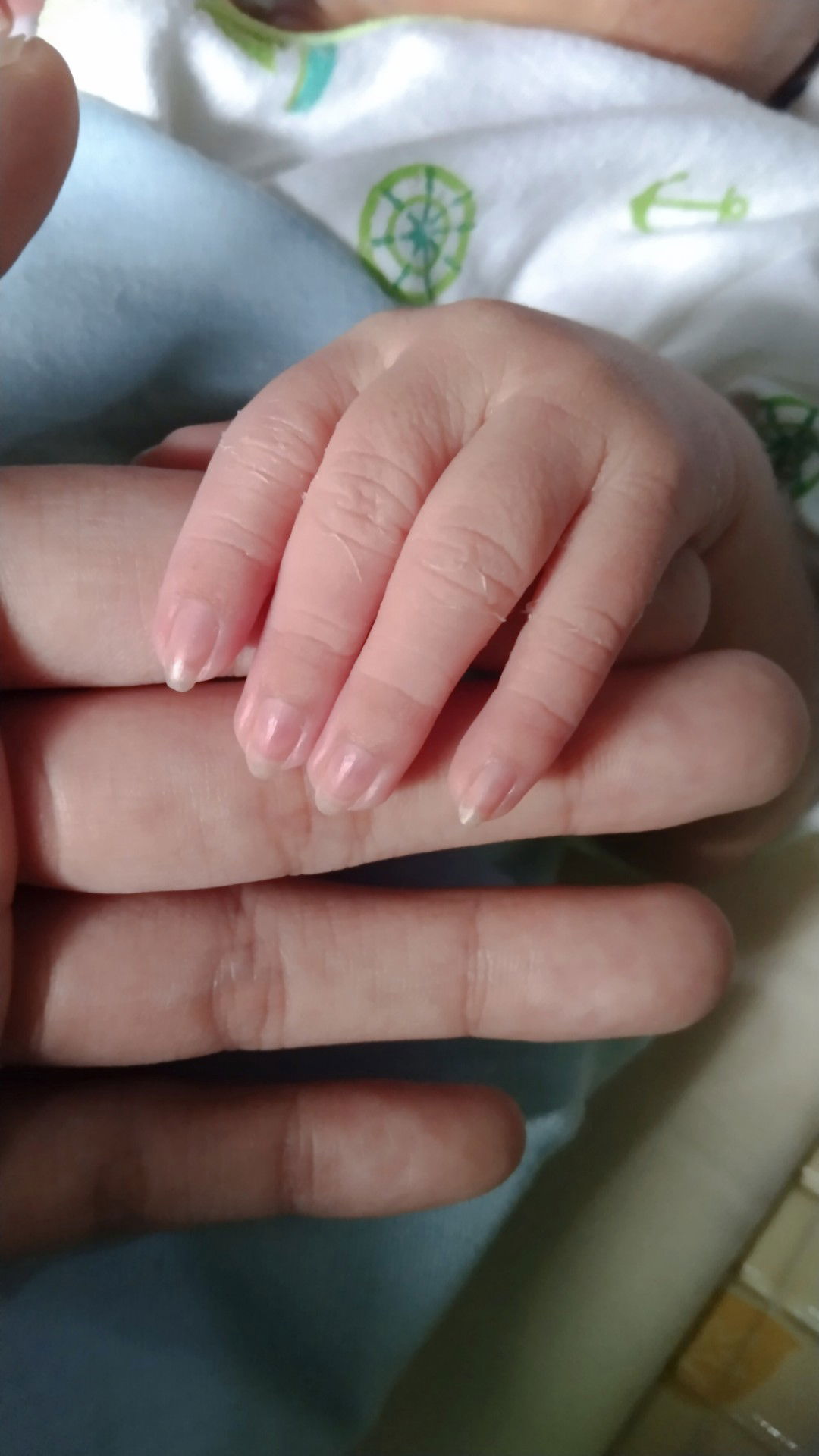 Asma Kamila profile icon