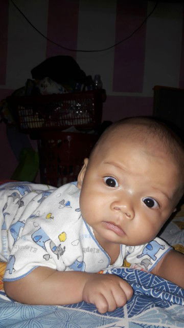 urat hijau di hidung