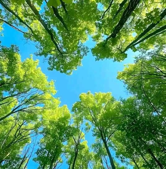 Laras ati profile icon