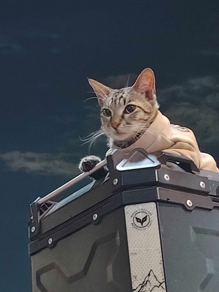 Chrissie Rebadajo profile icon