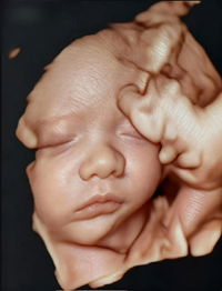 ศิรินทร์ วงค์สัมฤทธิ์ profile icon