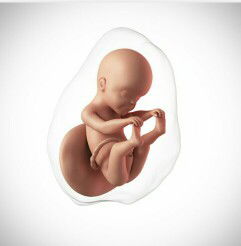 Tati Purwanti profile icon