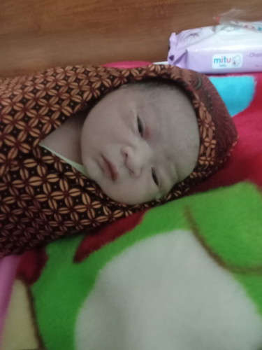 Alhamdulillah sudah lahir