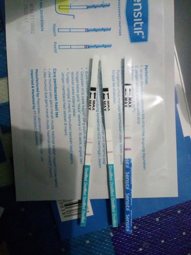 Saat Hamil Buah Hati